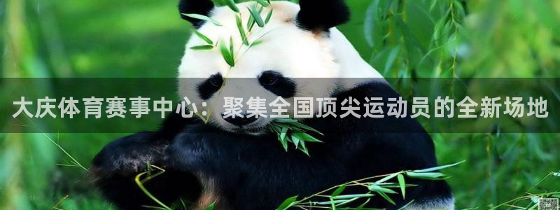 JJB竞技宝官网下载联系电话:大庆体育赛事中心:聚集全国顶尖