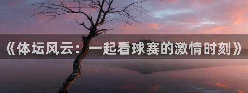 JJB竞技宝官方正版app集团官网首页:《体坛风云:一起看球