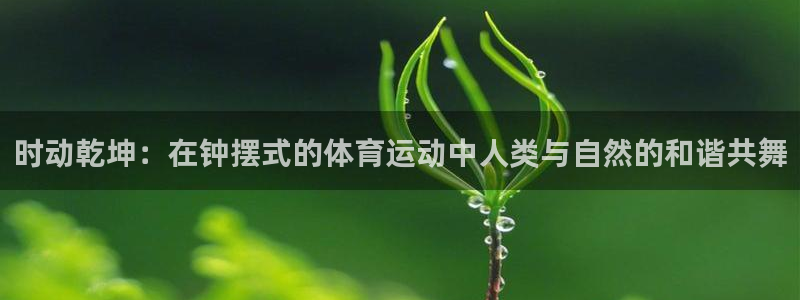 JJB竞技宝官方正版app开户:时动乾坤:在钟摆式的体育运动